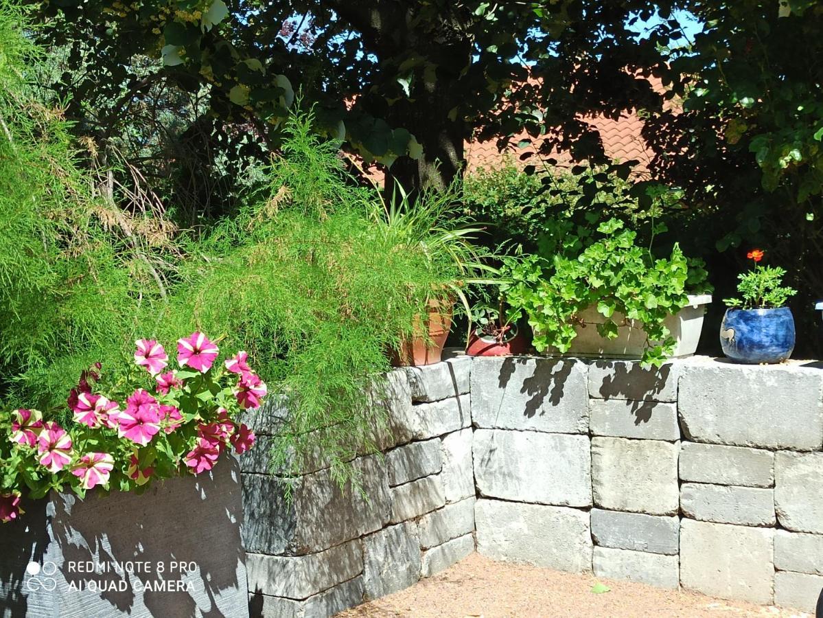 Erable Pourpre Bed & Breakfast Saint-Georges-Haute-Ville Екстериор снимка